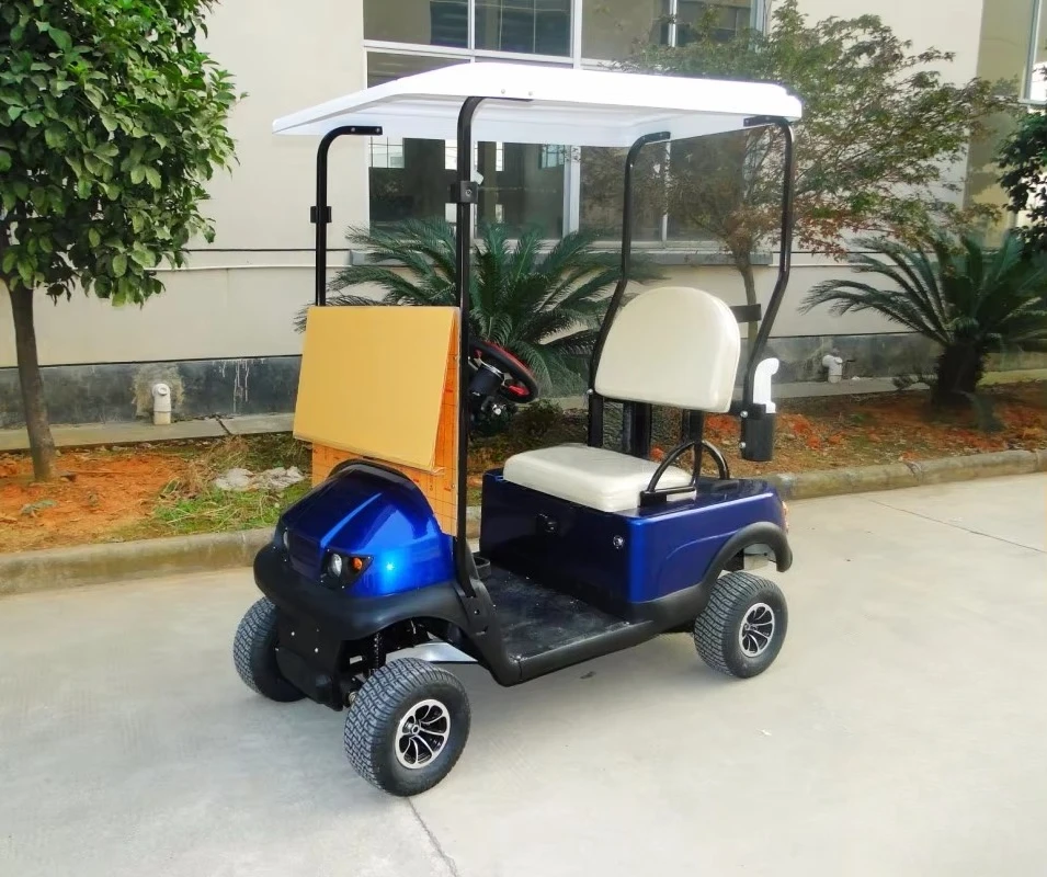 New Design Electric 1 Person Golf Cart with Rain Cover