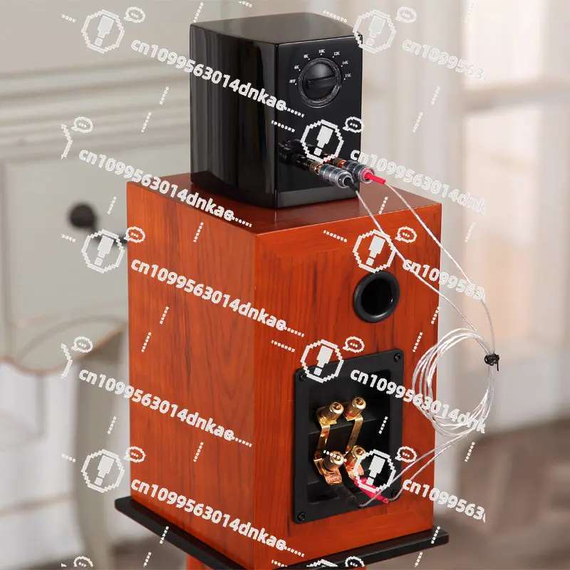 TAULSSEN/Taosheng T3 6th Generation Fever and Other Magnetic Field Belt External Ultra-high Sound Speakers, Ultra-high Frequency