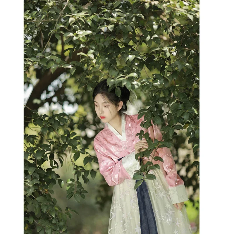 2023 Herbst kawaii rosa Jacquard Tops weiße Spitze Kleid Frauen Braut Hanbok koreanische Mode Kleidung Fee Prinzessin Tanz kostüm