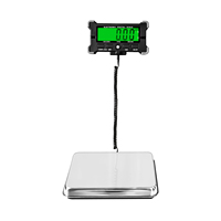 Digital Scale 200KG Electronic Postal Scale Stainless Steel Floor Scale LCD Backlight Display Package Weighing Shipping Scale