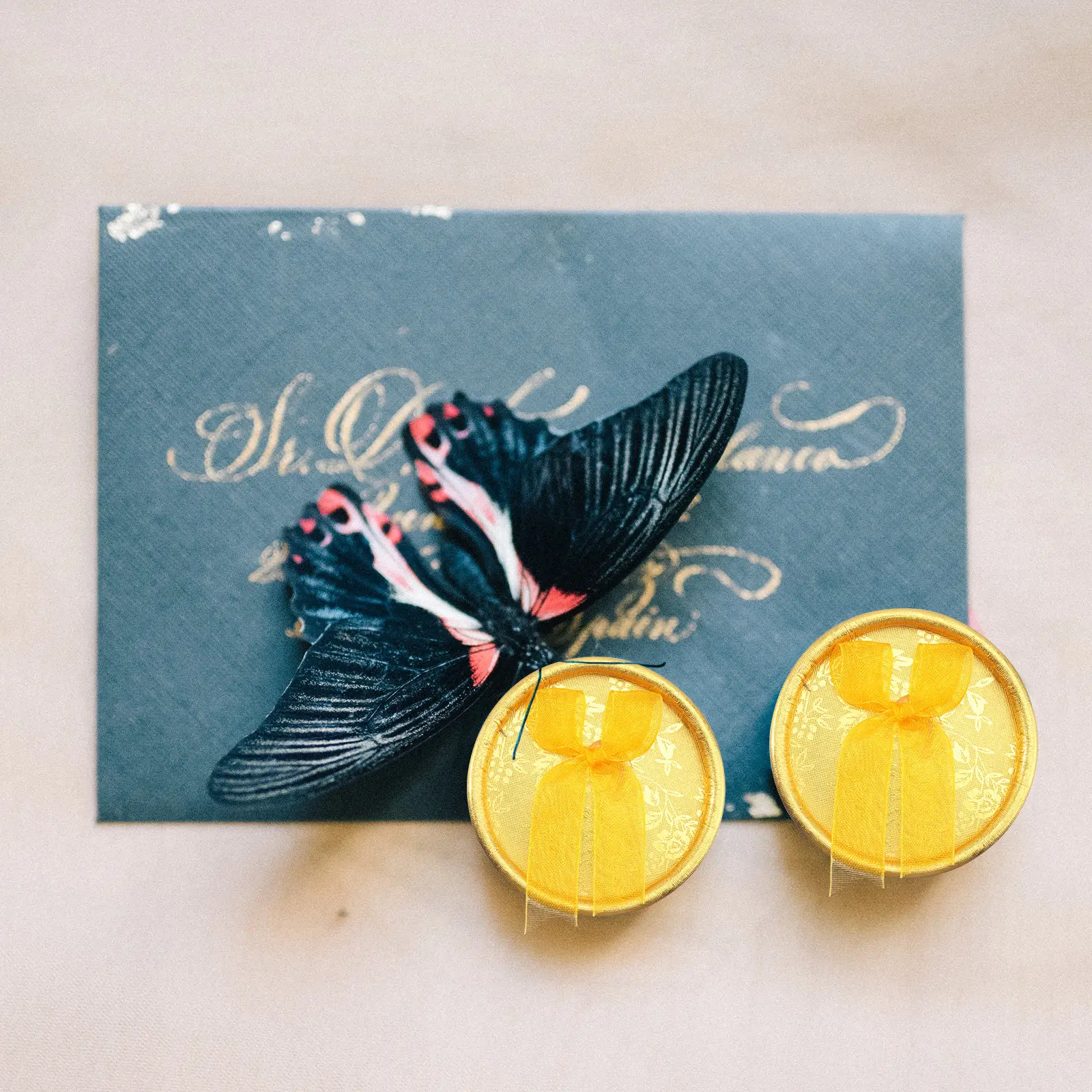 

12Pcs Elegant Bowknot Jewelry Boxes Premium Paper Ring Earring Storage Case for Wedding Birthday Christmas Gifts Jewelry