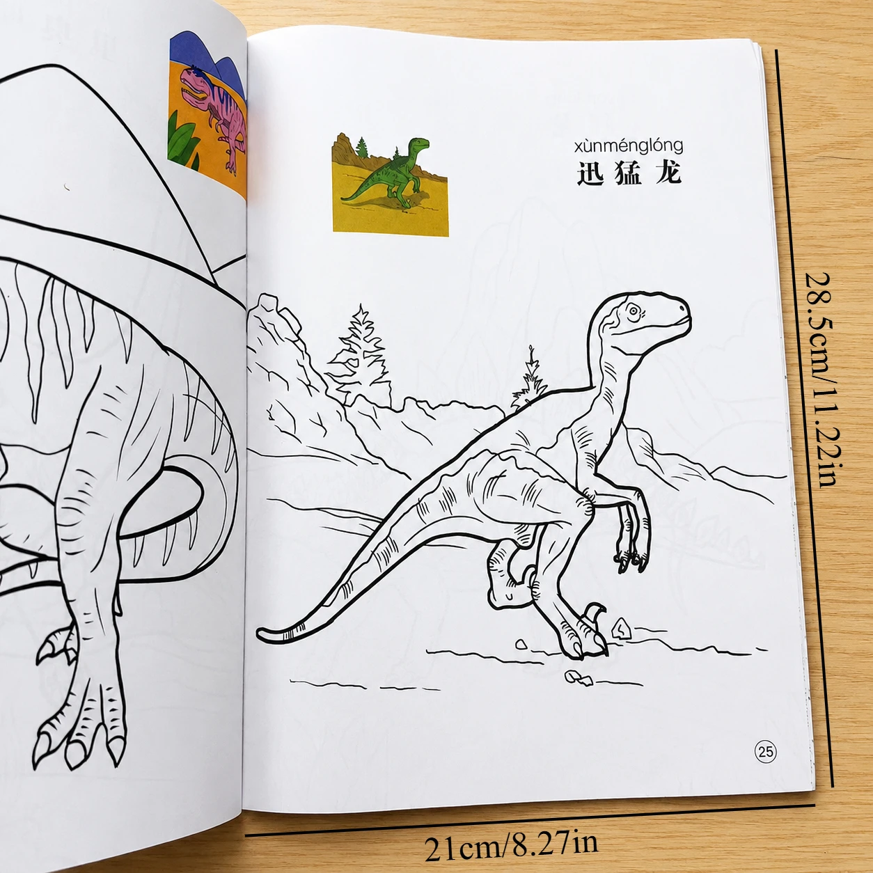 48-Page Children Dinosaur Theme Coloring Workbook Various Dinosaur Line Art Toddler Creative Drawing Practice Book