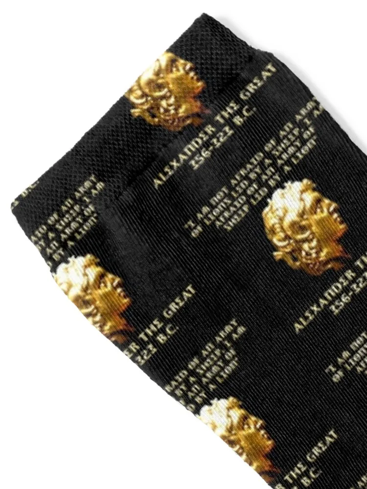 Alexander the Great Socks Non-slip essential kids funny sock Socks Girl Men's