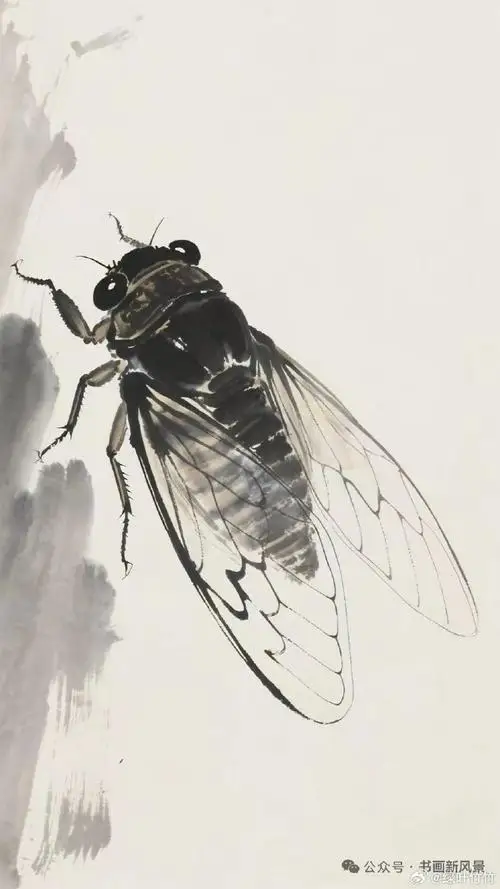 

For MJX 1/12 H12Y H12Y+ H12P Remote Control Car Upgrade Accessories Non Destructive Installation 304 Chassis Armor