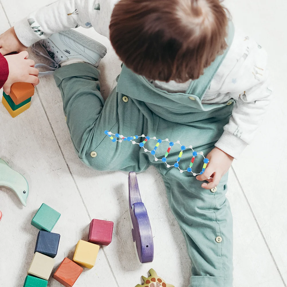 Kit de anstería Dna, modelos de 2 uds., prueba de motor de biología, material didáctico, prueba de juguetes de popularización científica