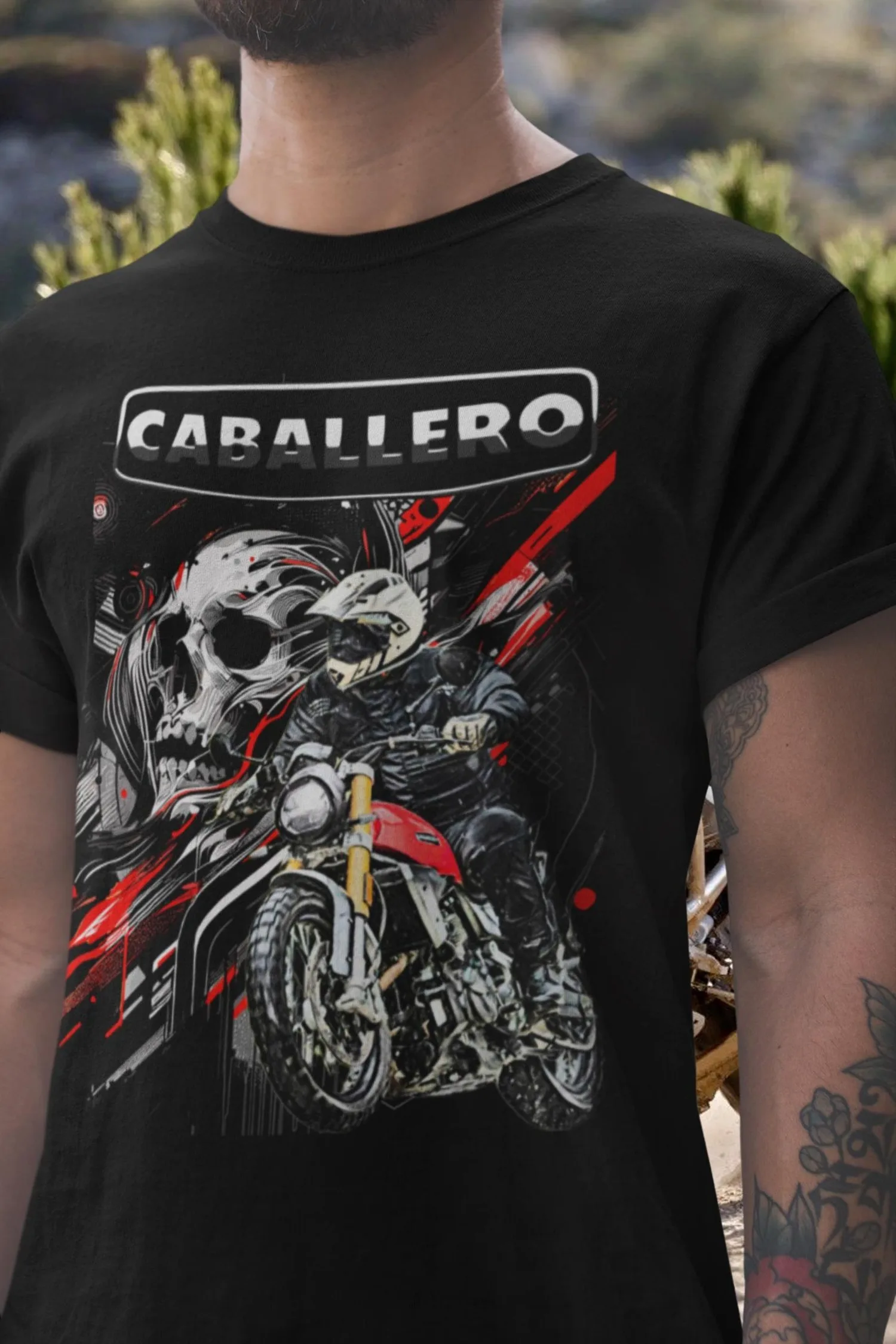 342@EY F.Antic Caba…