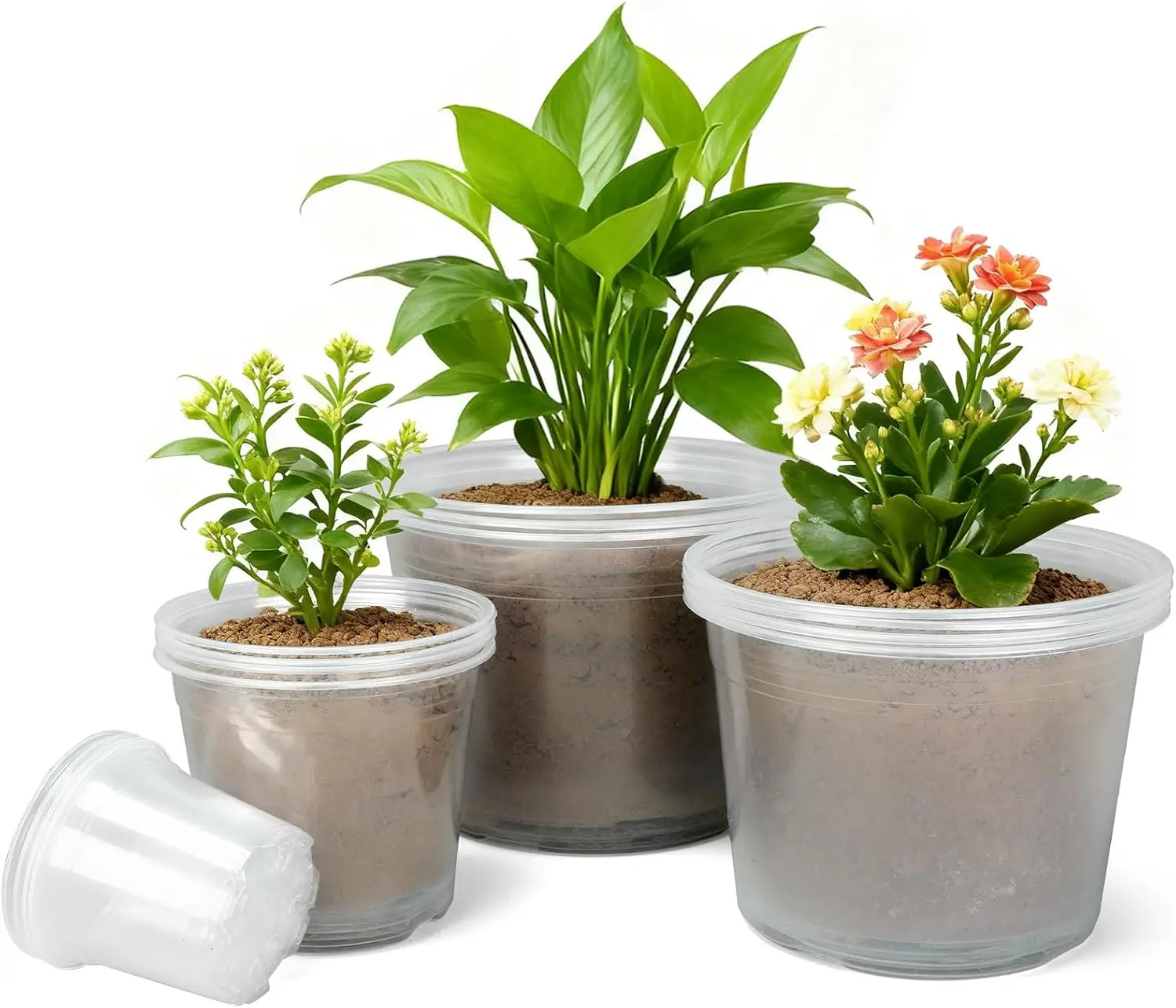 

Большие прозрачные горшки для растений 4/6/8/10 дюймов, 16 штук, пластиковые горшки для рассады с дренажными отверстиями, прочные.