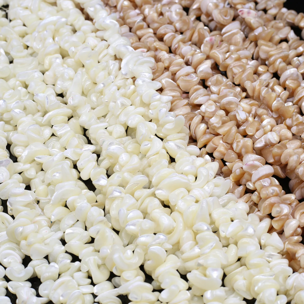 13x14mm Natural Freshwater Shell Beads Irregular Semi-Finished Loose Beads for DIY Jewelry Making Necklace Bracelet Accessories