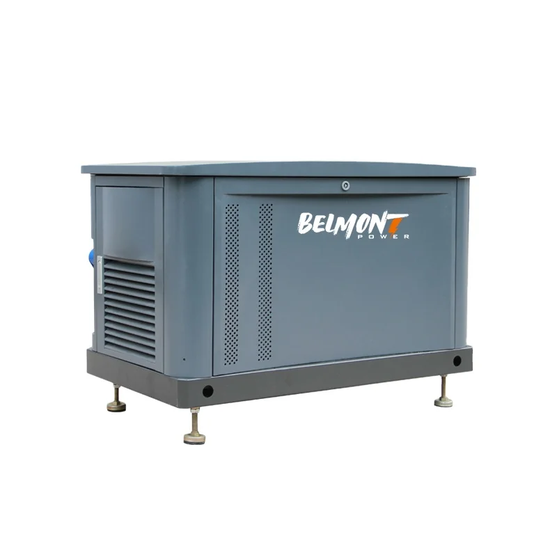 7kw 8kw 14kw 15kw 17.5kv 19Kva 20kva 16kw 25kva 36kva 20kw 22kw 23kw Air Cooled LPG Home Natural Gas Generator for Whole House