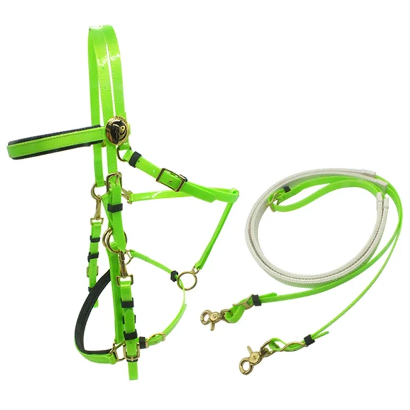 Endurance Horse Race Halter Nylon Material in Australian Style Durable and Reliable for Long Distance Competitions