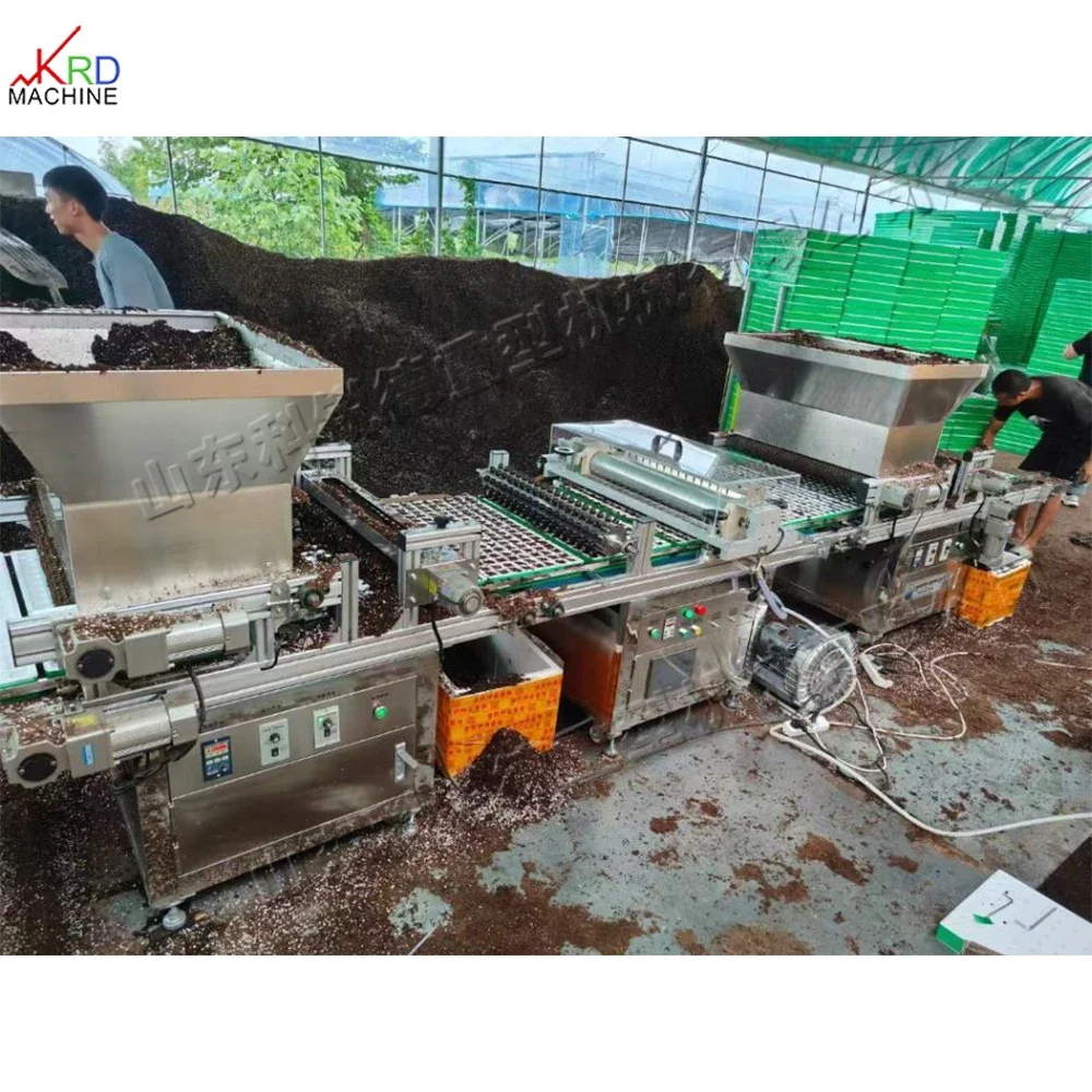 Cavity tray mulching seeding line chilli seed tray cavity sowing machine Automatic seed cavity seedling raising machine