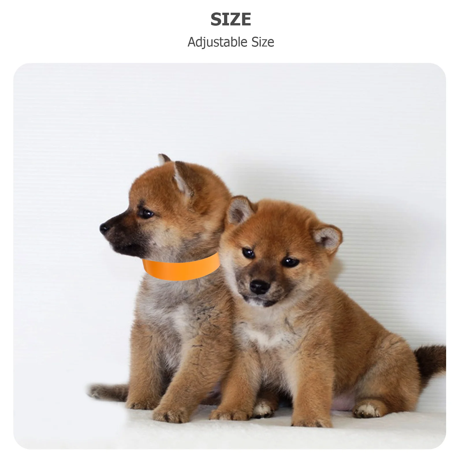 100 Uds. Collares de identificación para cachorros, bandas de identificación ajustables para mascotas, etiquetas de arena, Collar para perros pequeños, Collar para cachorros pequeños