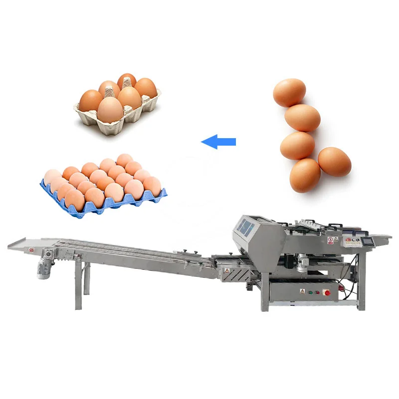 آلة تحميل صينية البيض آلة تعبئة بيض الدواجن آلة تعبئة بيض الدجاج الصغيرة للصينية #1