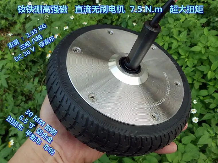 6.5 Inch DC36V/24V Brushless Wheel Motor High Power High Torque 7.5 N.m Balance Car Twisting Car Power Wheel