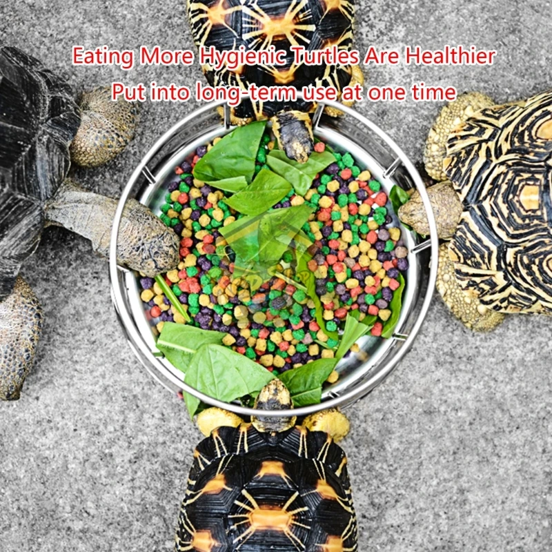 304 Stainless Steel Tortoise Turtle Feeder Pet Supply Semi-Water Food Dispenser Bowl Feeding Tool Reptile Basin Home Water Dish