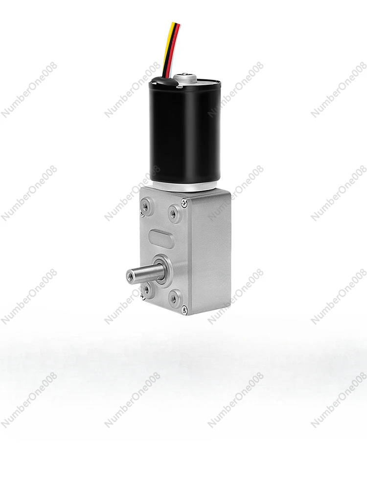 JGY-2838 Brushless Micro Worm Gear DC Deceleration Motor 12v24v Adjustable Speed Forward and Reverse Motor