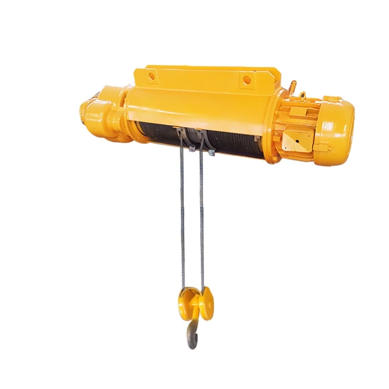 2 Ton 30m Electric Mini Winch Easy Operation Wire Rope Electric Hoist 500kg Professional Industrial Grade Power Hoist Pro