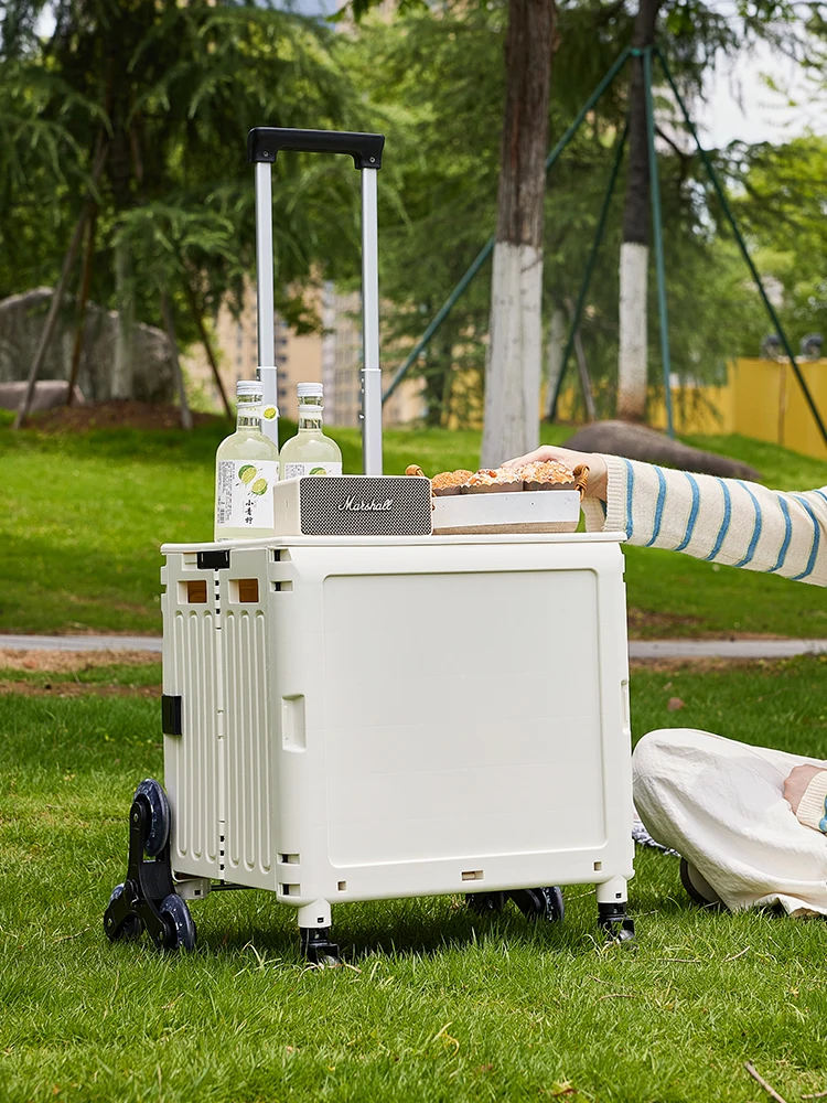 chariot-de-transport-pliable-portable-pour-camping-exterieur-avec-barre-en-alliage-d'aluminium-et-corps-en-plastique-chariot-de-courses-pour-enfants