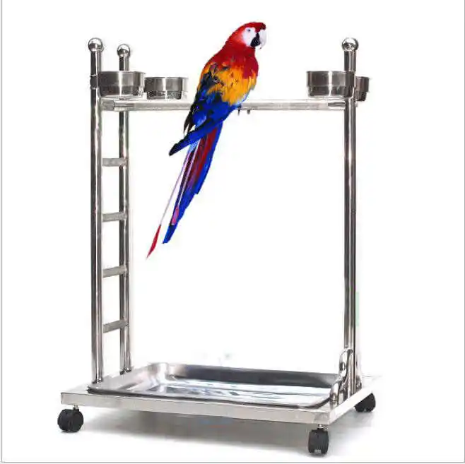 Stainless Steel Parrot Standing Cage,