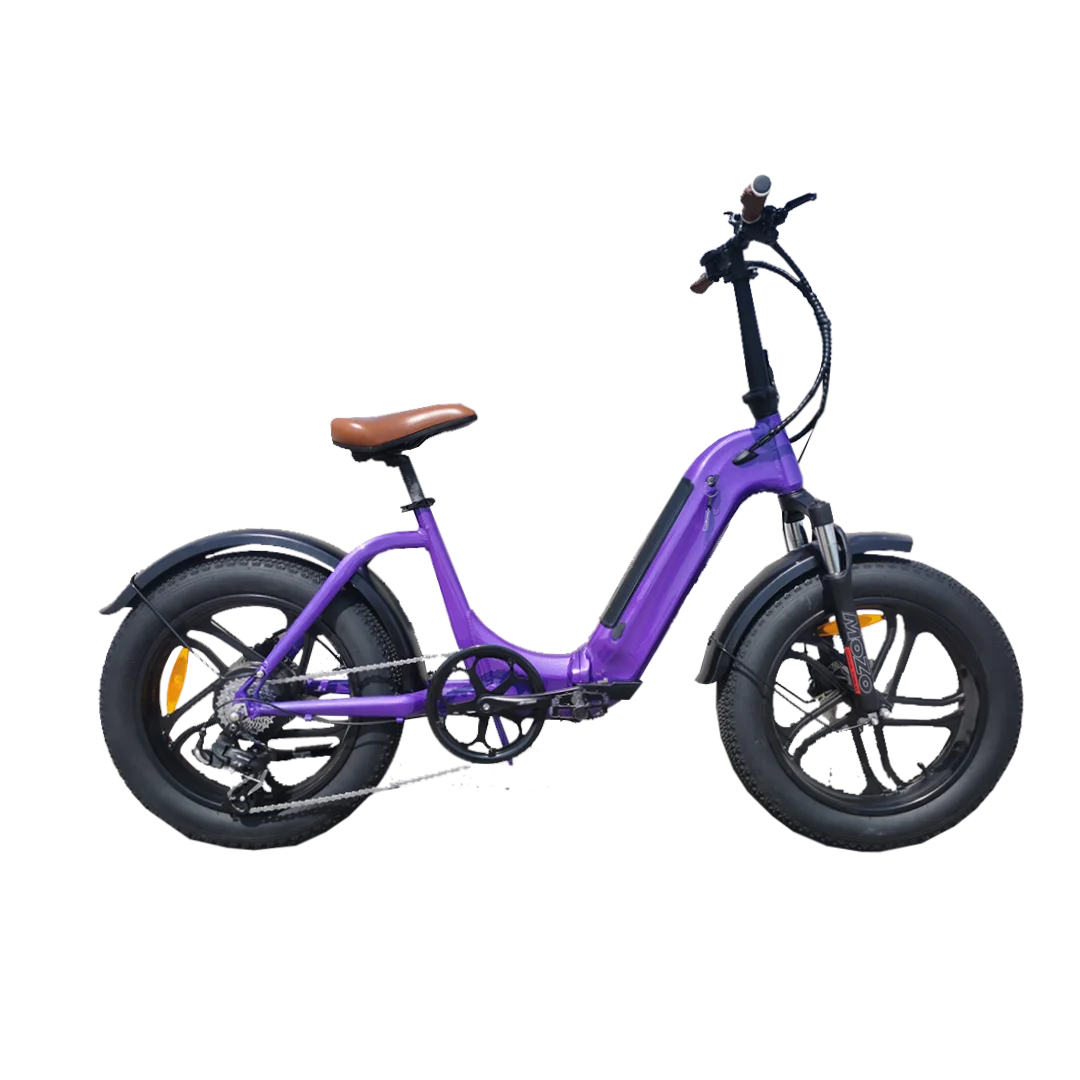 STLF سعر الجملة 7 سرعة 350 واط 500 واط 52 فولت 20 بوصة طويلة المدى إطار من سبائك الألومنيوم E الدراجة على الطرق الوعرة دراجة كهربائية