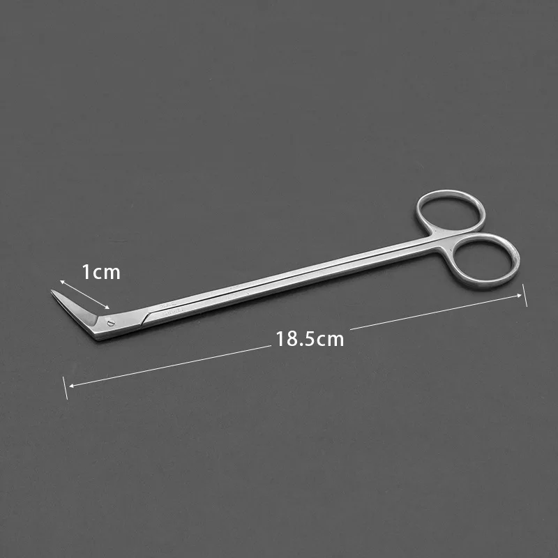 Stainless Steel Micro Bird's Beak Scissors Potts Surgical Angled Scissors