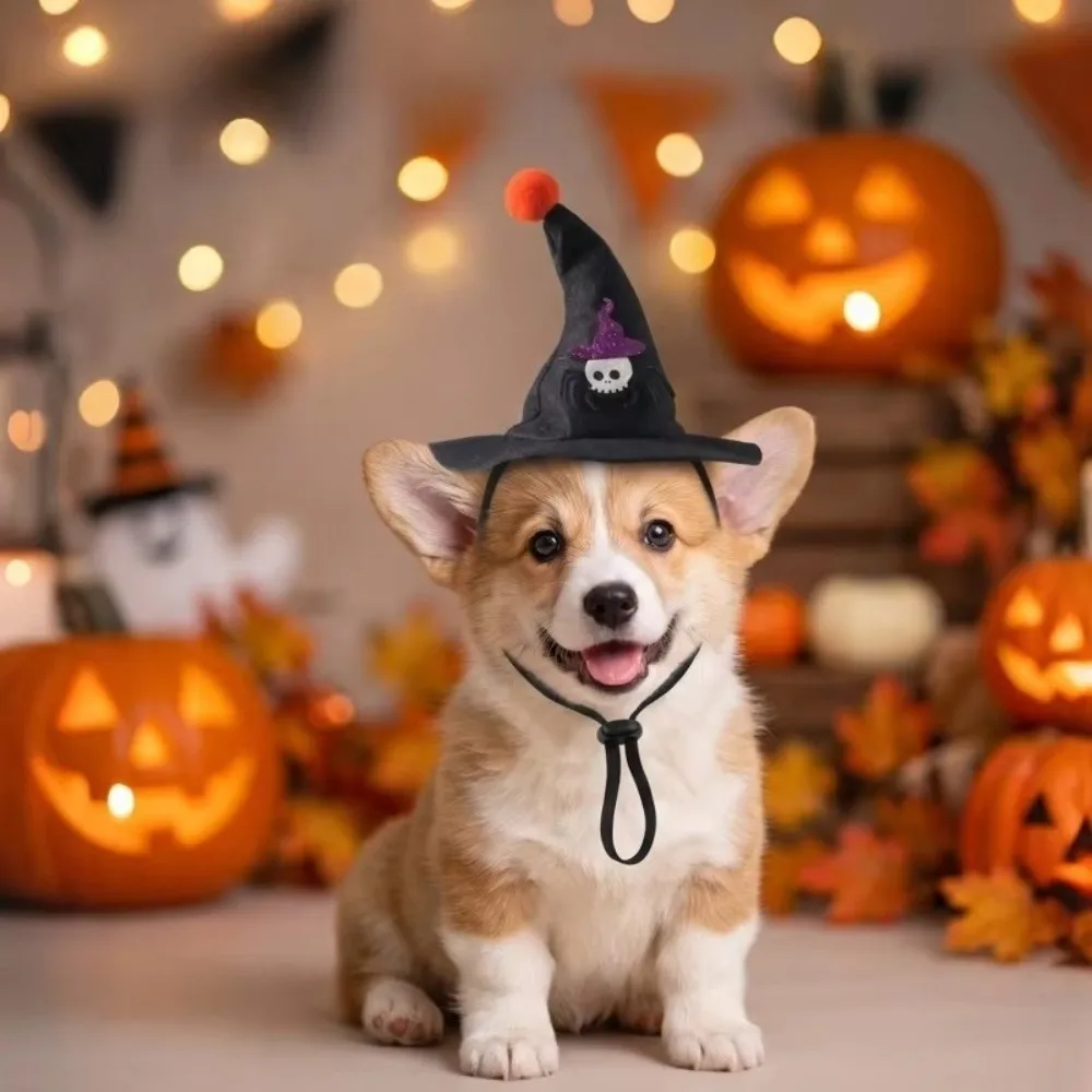 Adjustable Strap Pet Halloween Witch Hat Curved Top Pointed Brim Dog Halloween Party Hat Sequin Bowknot Pom Pom Ball