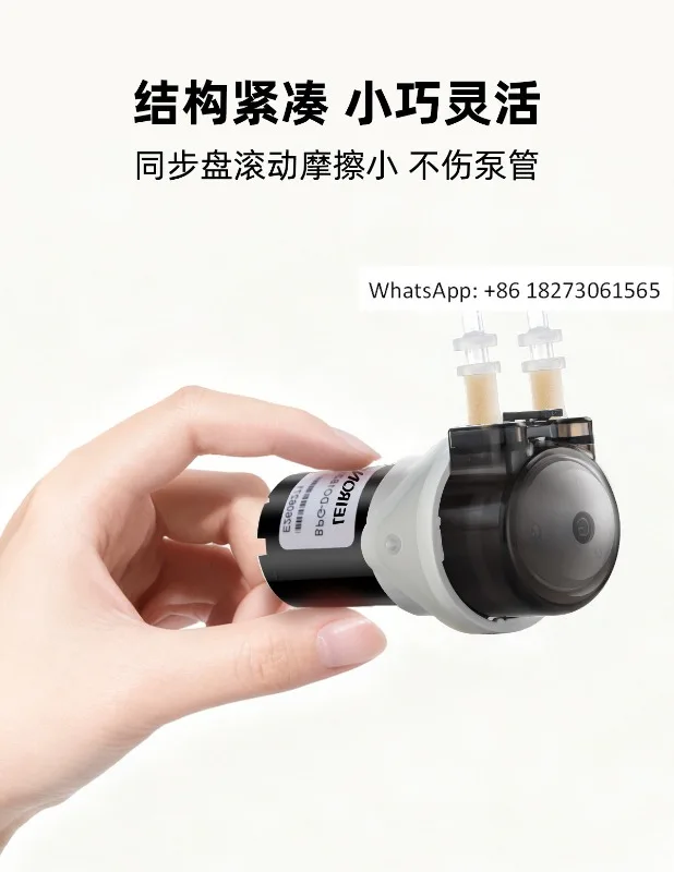 

Миниатюрный бесщеточный перистальтический насос постоянного потока, лабораторная машина для розлива, циркуляционный самовсасывающий насос для титрации, головка насоса 12В