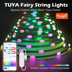 TUYA LED String 200 Led 20M Christmas Tree Fairy String Party Light Copper Wire String Lights For Home Parties Christmas Holiday