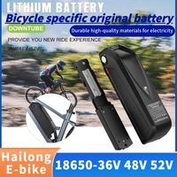 Hailong 36V 48V 52V 10AH 12AH 15AH 18AH 18650 Battery Pack built-in 30A BMS For 1500W High Power Electric two wheeler battery