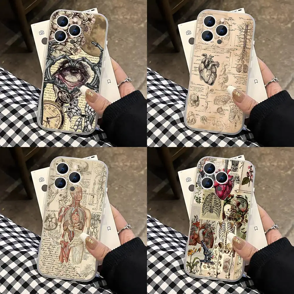 

Medical Art Human Anatomy Frosted Clear Magnetic Phone Case for iPhone 17,16,15,14,13,12,11 Pro,Max,Plus,Mini,Air,E