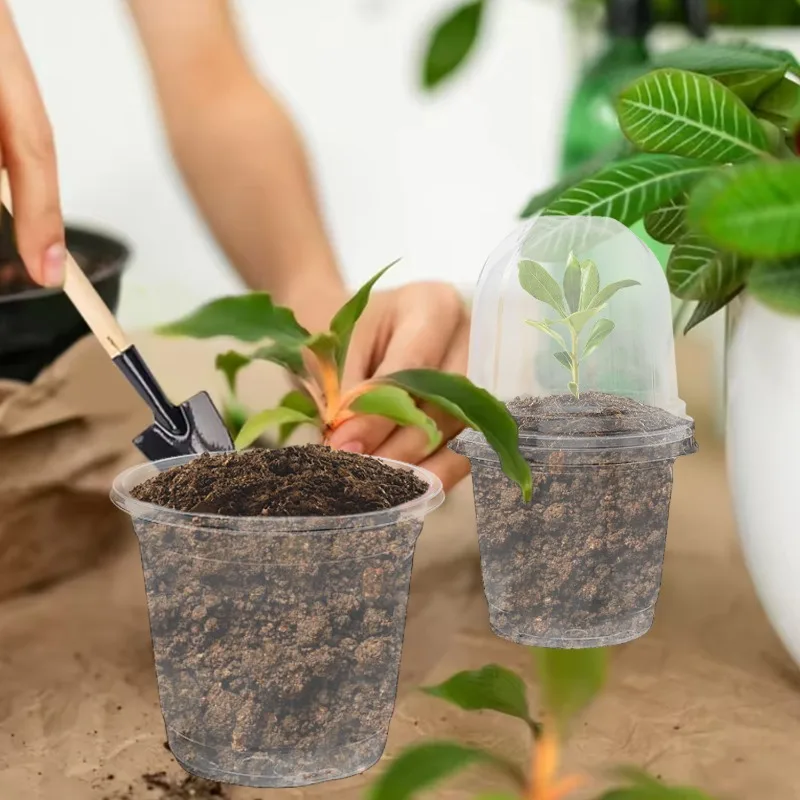 Thumbnail 4 - #16 Compare Plant Pots Before You Buy