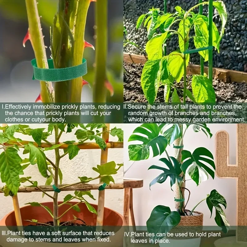 100/200/300 PCS Reusable 6-Inch Garden Hook Loop Plant Ties Multifunctional Adjustable Velcro Ties for Supporting Plants