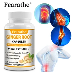 Ginger Root, Bone, Muscle Function, Immune Support, 120 Capsules, Dietary Supplement