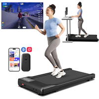 Lowest Price Portable Treadmill Remote Control LED Display 2.5HP Walkingpad Jogging Machine for Home Office 300LBS Capacity