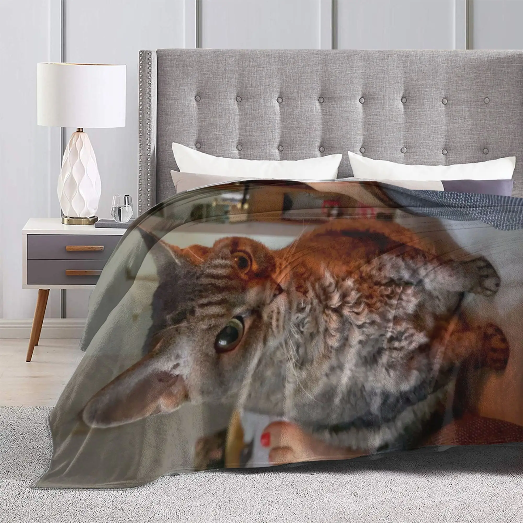 Couverture légère et fine en flanelle, drôle et mignon, chat, chats, mèmes meme Merch, couette fine en peluche confortable