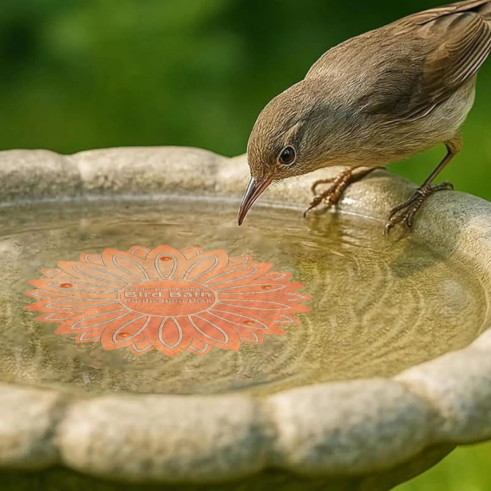 Bird Bath Water Purifier Copper Weatherproof Physical Safe Panel Copper Disk Bird Bath Insert for Homeowners Gardeners Outdoor