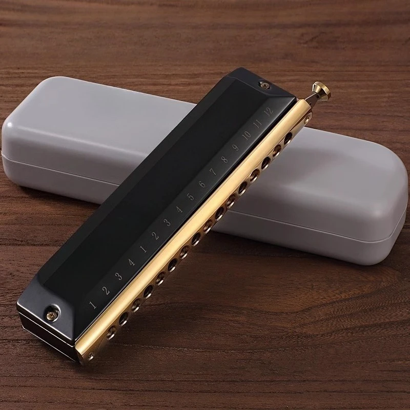 

Полутоновая губная гармошка, 12 отверстий, 16 отверстий, профессиональный уровень исполнения для взрослых, инструмент для самостоятельного изучения начального уровня для начинающих