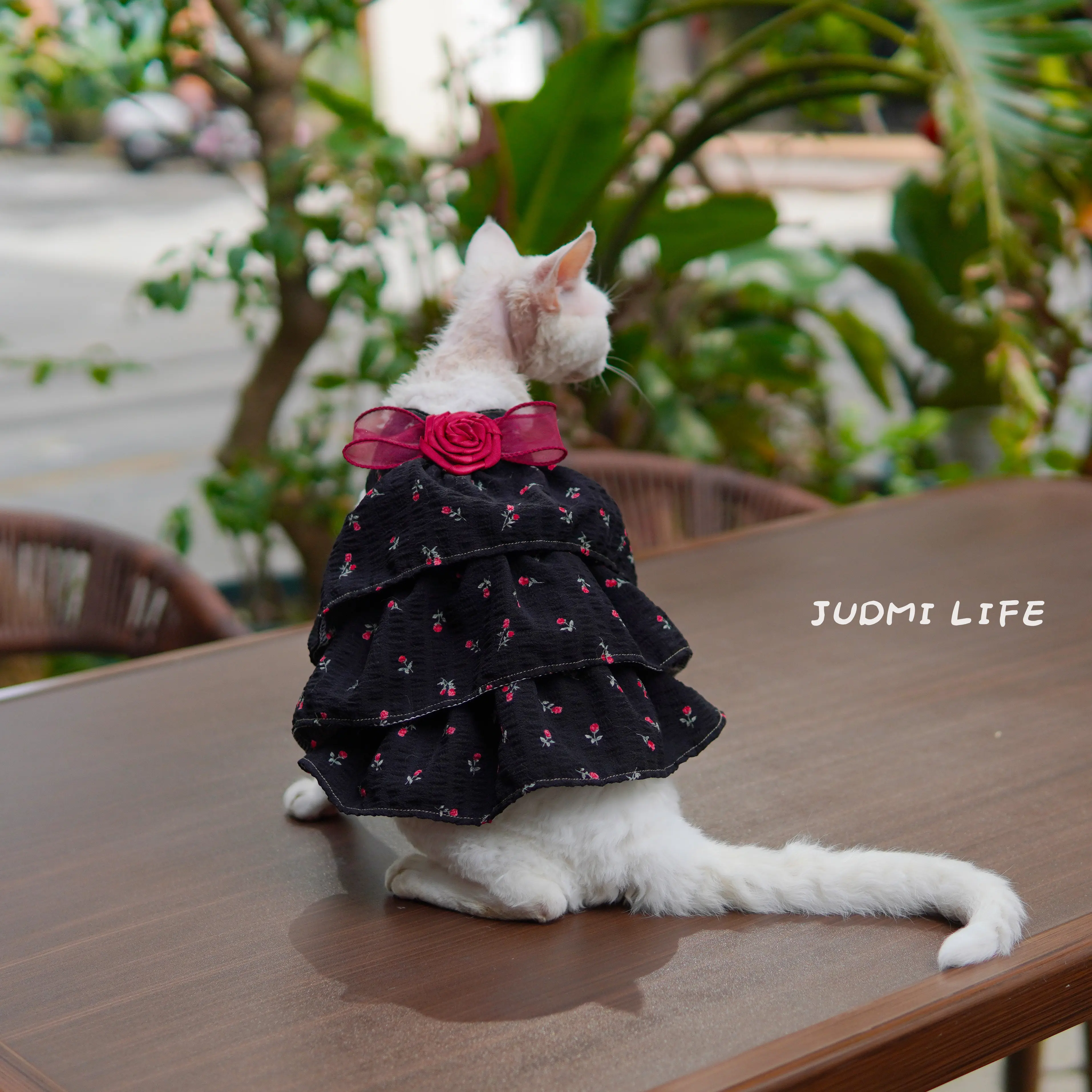 Soft Cotton Rose Dress for Sphynx Sleeveless Bubble Cake Skirt for Female Cats Sweet Vest For Devon Rex in Spring Cat Supplies