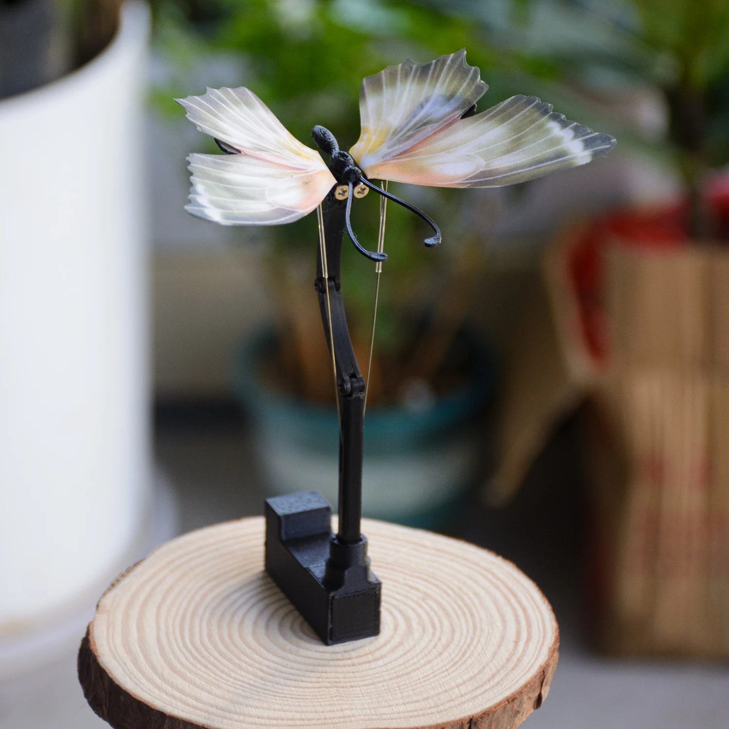 New automatic butterfly opener, mechanical wing simulation fanning device, specimen glass cover production DIY