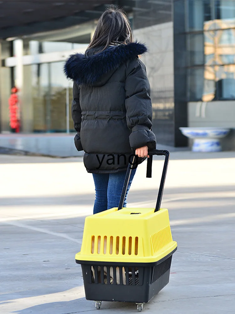 Yjq Trolley Portable Belt Wheels Portable Flight Case Cat Small Dog Travel Suitcase Check-in Suitcase