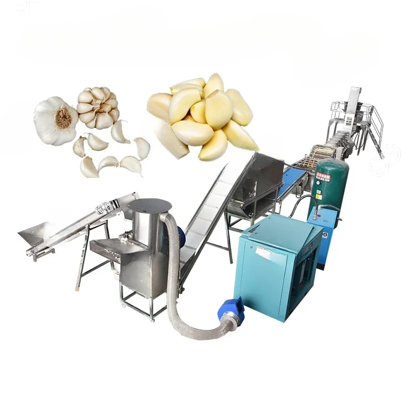 Full Automatic Chain Splitting And Peeled Onion Garlic Production Line Garlic Peeling Machine