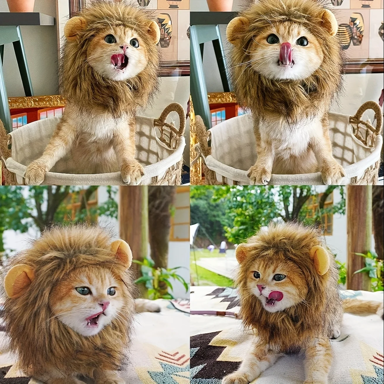 شعر مستعار أسود ماني قابل للتعديل ومريح ، شعر أنيق للحيوانات الأليفة ، هالوني ، عيد الميلاد ، حفل عيد الفصح ، غطاء رأس للقطط ، مجموعة واحدة