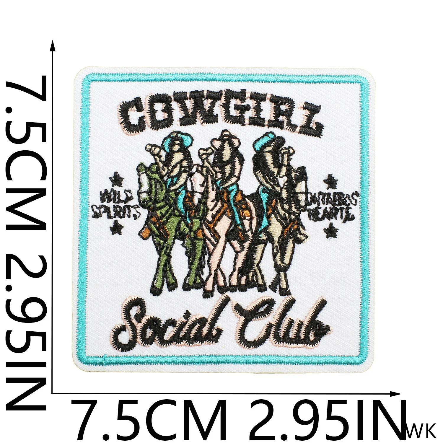 2025 New Patch 10 Pcs Wild West  Embroidered Patches Iron On Clothing Hat Bag Shoe Repair Phone Gift Box Decor DIY