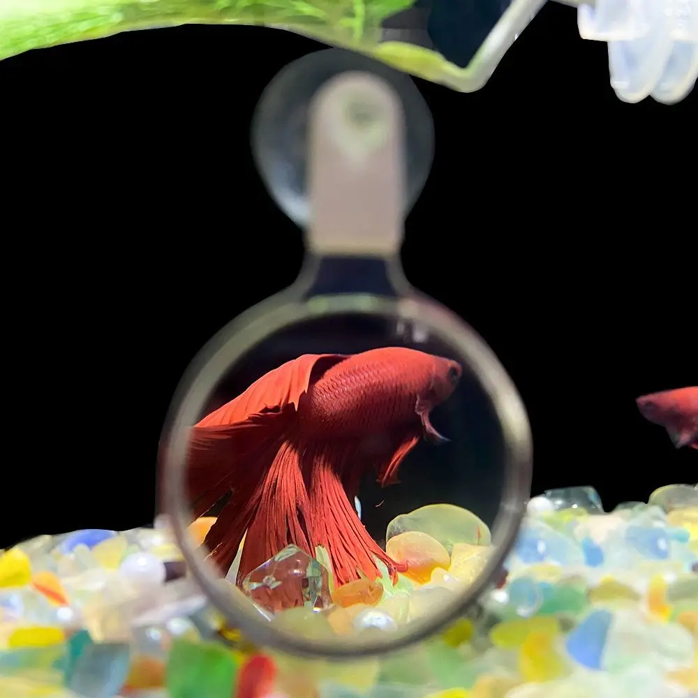 3 adet Akrilik Akvaryum Büyüteç Mini Taşınabilir Balık Tankı Görüntüleyici Vantuz ile Hayvan Gözlem Cam