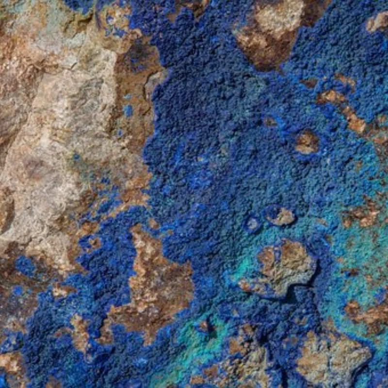 

Carbon Fiber Metal Multifunction Screw Tray Nut Gasket Storage Tool Organizer for RC Car Boat Airplane Model HSP RC Car