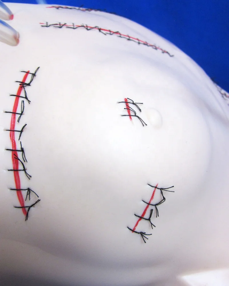 Surgical Dummy Suture And Bandage Teaching Model,Nursing Skills Manikin