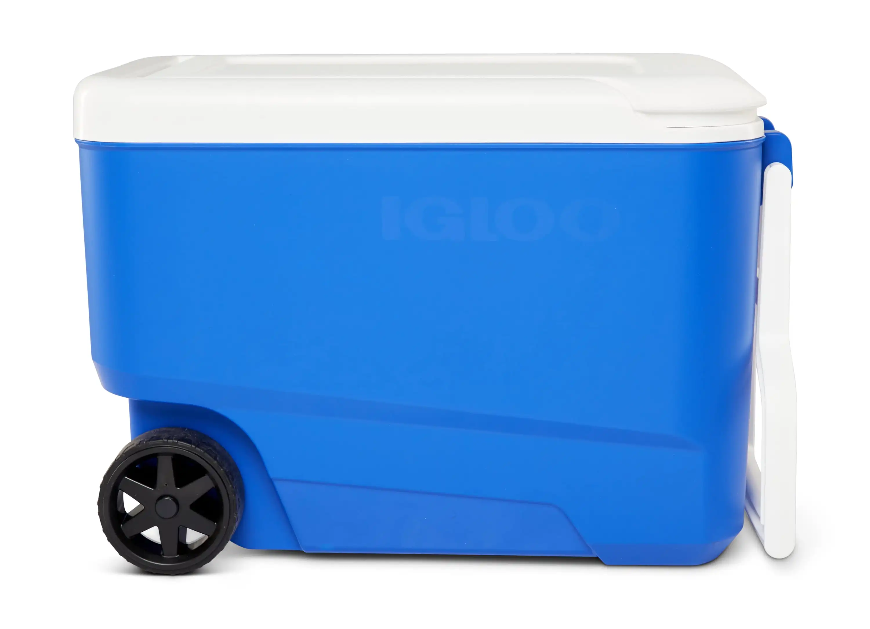 

Igloo 38 QT. Hard-Sided Ice Chest Cooler with Wheels, Blue