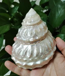 White Mother of Pearl Tower Pagoda Oyster Sea Shell Snail Luminous Big Tower Conch Landscape Gifts Specimens DIY Shellfish Tank