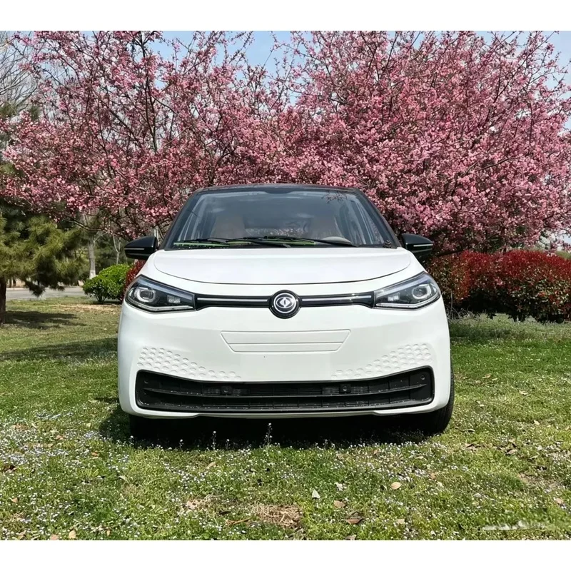 LTL Cheap EV 4 4 Wheels 5 Seats 3600W New Energy Auto 401-500km Range Adults Family