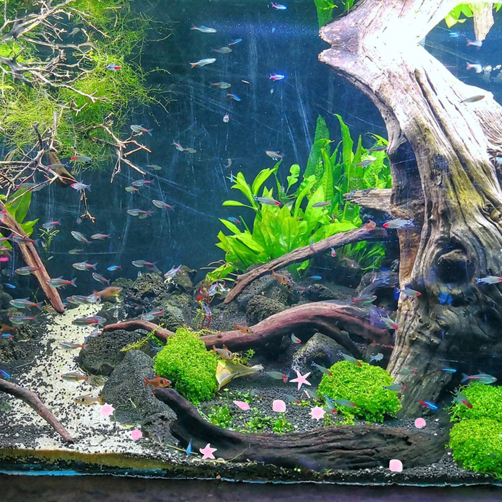 

50 Pcs Fish Tank Luminous Stone Gravel for Aquarium Pebbles Decoration Decorate Rocks Decorations Decorative